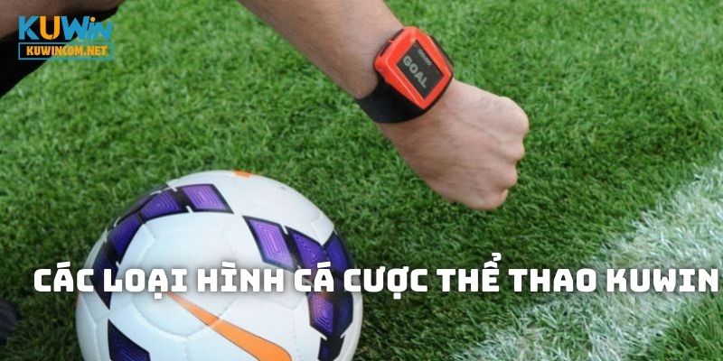 Các bộ môn mà bạn có thể tham gia cá độ tại Thể Thao KUWIN